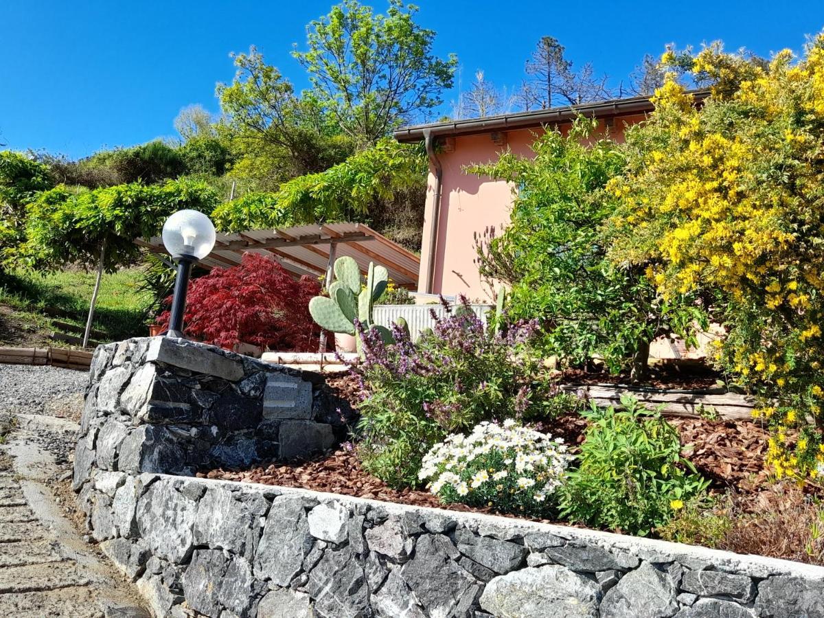 Casa Cinzia Bonassola Cinque Terre Leilighet Eksteriør bilde