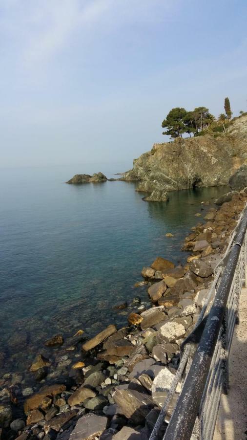 Casa Cinzia Bonassola Cinque Terre Leilighet Eksteriør bilde